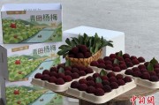 周易起卦高速赋能产业升级：一条“杨梅路”的致富密码