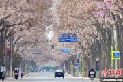 周易起卦共建“花园城市” 北京这场议政会“百花齐放”